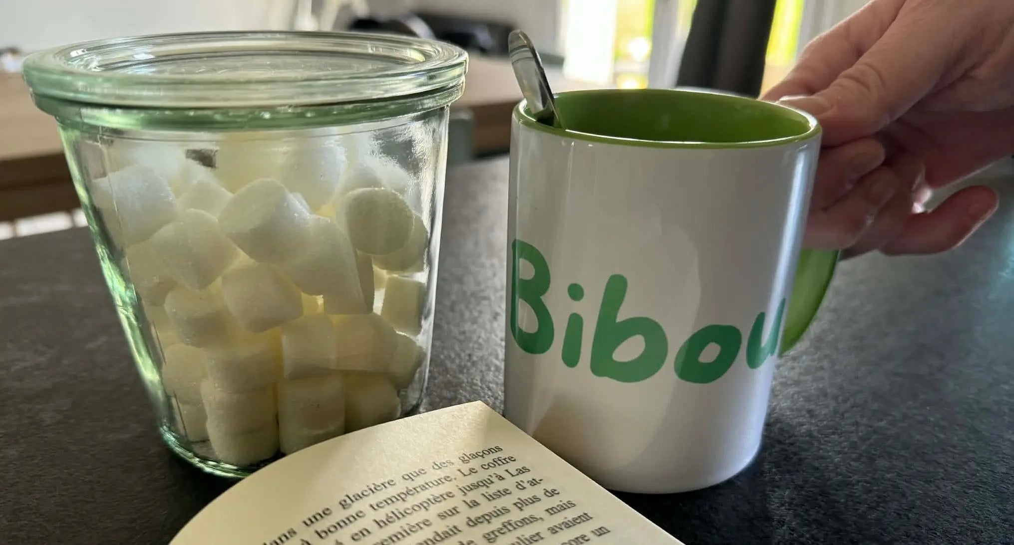 Mug personnalisé la passion de bibou